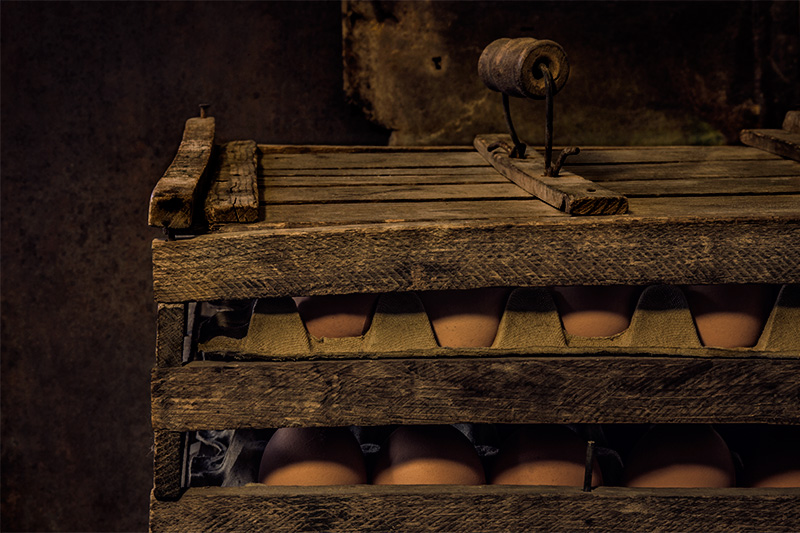 Keeper of the Eggs