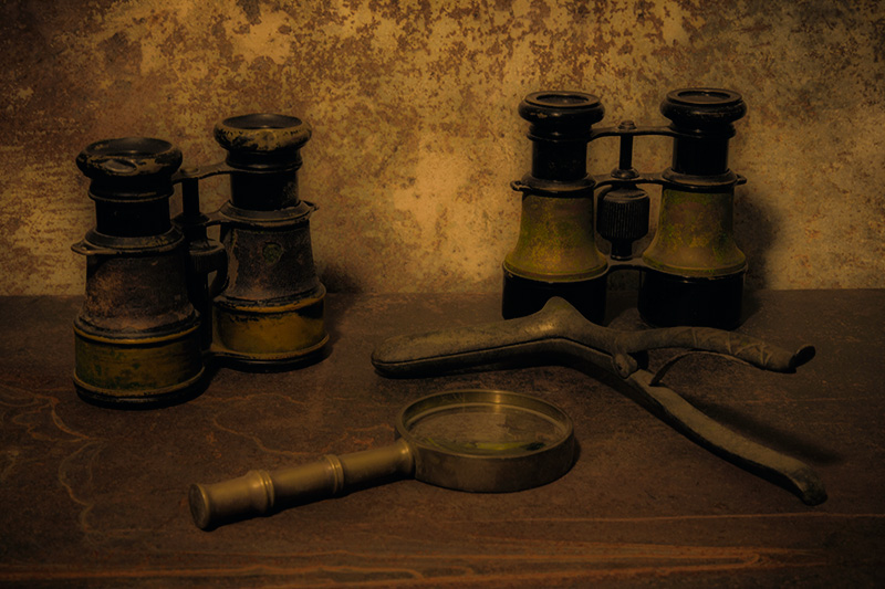 Investigate
