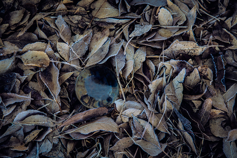 Winter’s Morning
